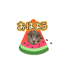 猫のチェブラーシカ8 withボム（個別スタンプ：16）