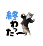 動く！デカ文字にゃんこ（個別スタンプ：2）