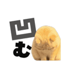 動く！デカ文字にゃんこ（個別スタンプ：6）