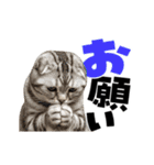 動く！デカ文字にゃんこ（個別スタンプ：8）