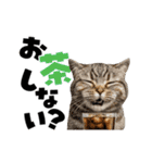動く！デカ文字にゃんこ（個別スタンプ：17）