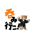 動く！デカ文字にゃんこ（個別スタンプ：18）