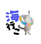 動く！デカ文字にゃんこ（個別スタンプ：21）