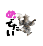 動く！デカ文字にゃんこ（個別スタンプ：22）