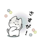 ちびねっこ3☆ずっと使える挨拶や感情 + 夏（個別スタンプ：14）