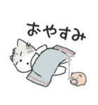 ちびねっこ3☆ずっと使える挨拶や感情 + 夏（個別スタンプ：16）