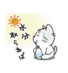 ちびねっこ3☆ずっと使える挨拶や感情 + 夏（個別スタンプ：23）