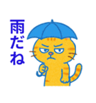 目つきの悪いトラ猫の日常（個別スタンプ：38）