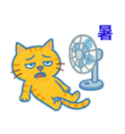 目つきの悪いトラ猫の日常（個別スタンプ：39）