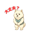 サモエドの喜怒哀楽スタンプ（個別スタンプ：11）