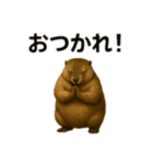 日常で使えるマーモットちゃん（個別スタンプ：8）