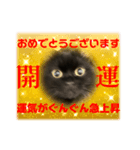 黒猫 ルナ院長 169にゃんめ（個別スタンプ：7）