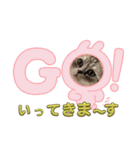 マイキャッ2（個別スタンプ：4）