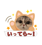マイキャッ2（個別スタンプ：5）