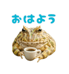 ベルツノガエルの日常スタンプ（個別スタンプ：1）