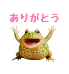 ベルツノガエルの日常スタンプ（個別スタンプ：4）