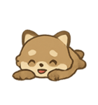 いたずらアライグマ のんびり表情（個別スタンプ：6）