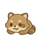 いたずらアライグマ のんびり表情（個別スタンプ：16）