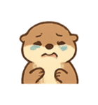 いたずらカワウソ わくわく表情（個別スタンプ：10）