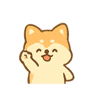 クリーム柴犬Chacha ふわふわムード（個別スタンプ：1）