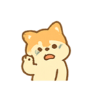 クリーム柴犬Chacha ふわふわムード（個別スタンプ：2）