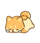 クリーム柴犬Chacha ふわふわムード（個別スタンプ：5）