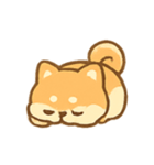 クリーム柴犬Chacha ふわふわムード（個別スタンプ：11）