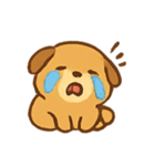 パンケーキ子犬 Sunny（個別スタンプ：5）