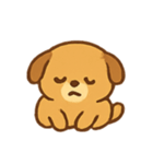 パンケーキ子犬 Sunny（個別スタンプ：16）