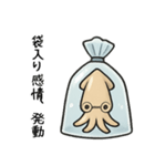 袋入りイカちゃん（個別スタンプ：1）
