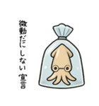 袋入りイカちゃん（個別スタンプ：13）