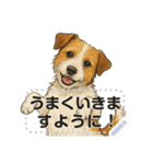 ジャックラッセル《メッセージスタンプ》（個別スタンプ：2）