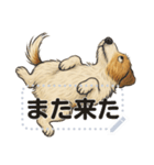 ジャックラッセル《メッセージスタンプ》（個別スタンプ：4）