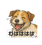 ジャックラッセル《メッセージスタンプ》（個別スタンプ：6）