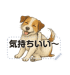 ジャックラッセル《メッセージスタンプ》（個別スタンプ：7）