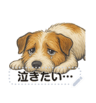 ジャックラッセル《メッセージスタンプ》（個別スタンプ：8）