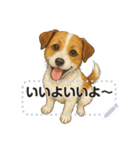 ジャックラッセル《メッセージスタンプ》（個別スタンプ：10）