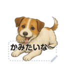 ジャックラッセル《メッセージスタンプ》（個別スタンプ：15）