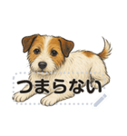 ジャックラッセル《メッセージスタンプ》（個別スタンプ：19）