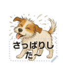 ジャックラッセル《メッセージスタンプ》（個別スタンプ：20）