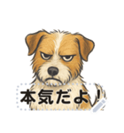 ジャックラッセル《メッセージスタンプ》（個別スタンプ：21）