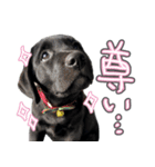 ぴのまる日和（個別スタンプ：4）