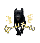 ぴのまる日和（個別スタンプ：5）