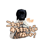 ぴのまる日和（個別スタンプ：6）