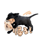 ぴのまる日和（個別スタンプ：8）