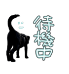 ぴのまる日和（個別スタンプ：10）