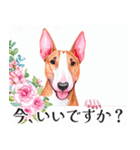 水彩感じるブル・テリアスタンプ（個別スタンプ：4）