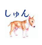 水彩感じるブル・テリアスタンプ（個別スタンプ：19）