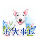 水彩感じるブル・テリアスタンプ（個別スタンプ：26）