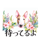 水彩感じるブル・テリアスタンプ（個別スタンプ：33）